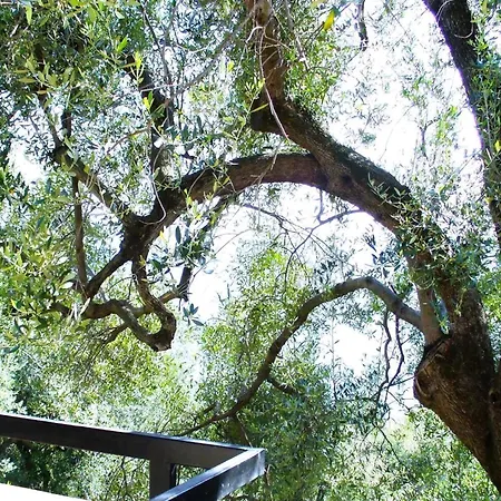 Mit Garten, Terrasse Und Grill Pisciotta